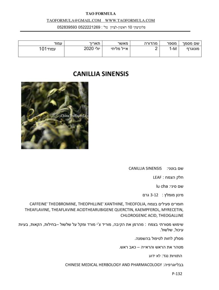 CANILLIA SINENSIS 1