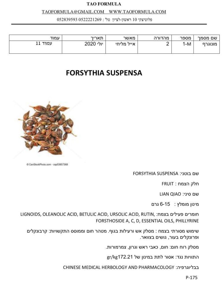 FORSYTHIA SUSPENSA 1