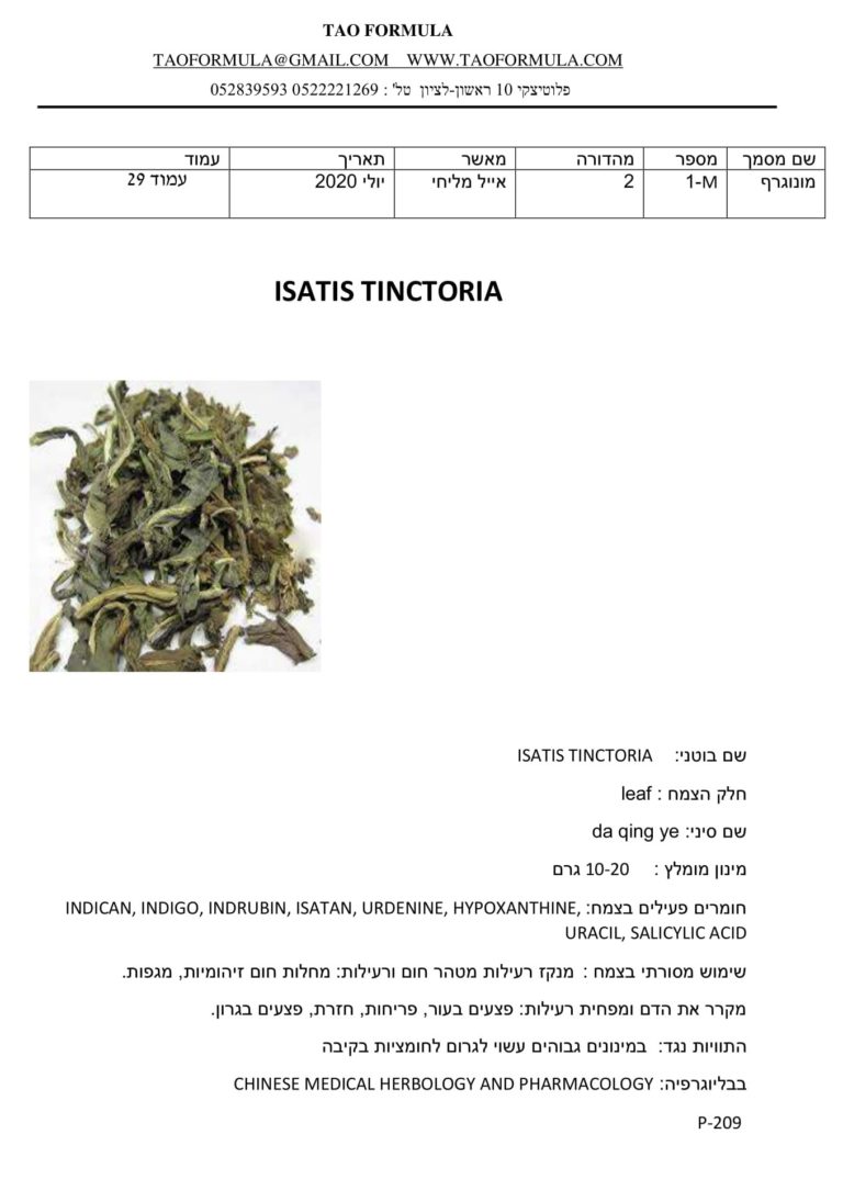 ISATIS TINCTORIA leaf 1