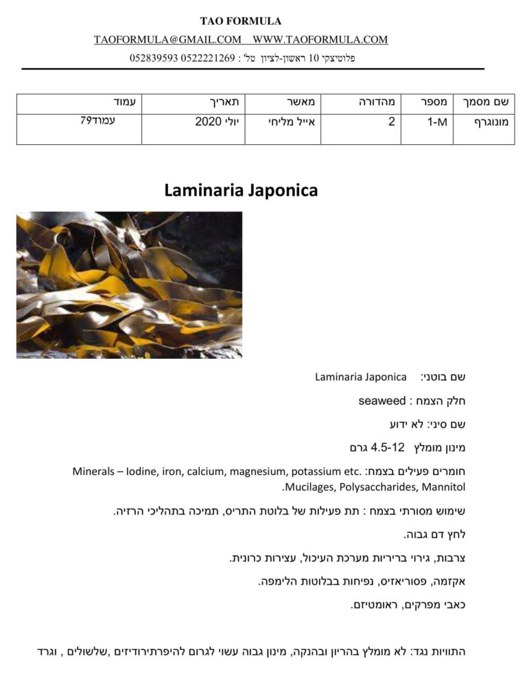 Laminaria Japonica 1
