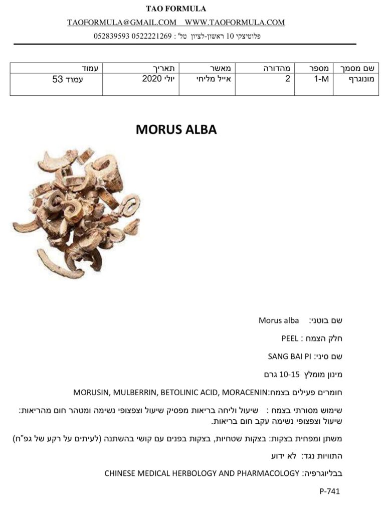 Morus alba 1