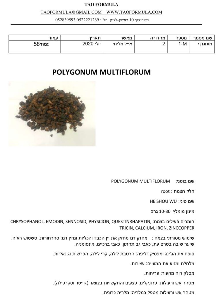 POLYGONUM MULTIFLORUM 1
