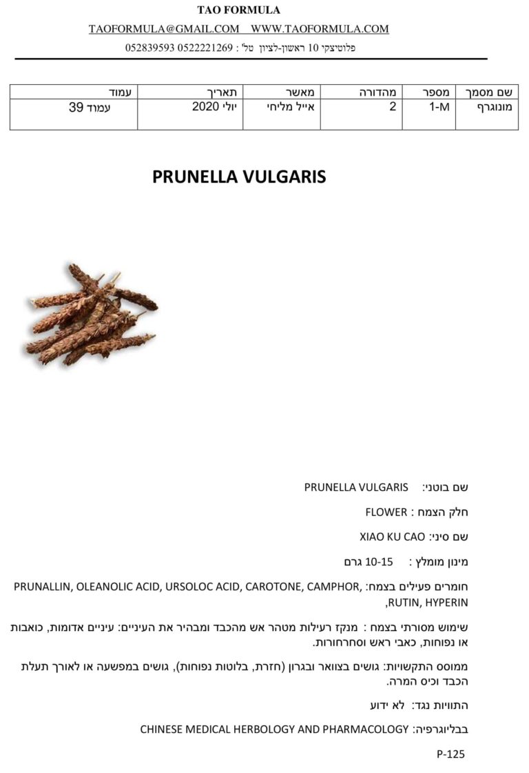PRUNELLA VULGARIS 1