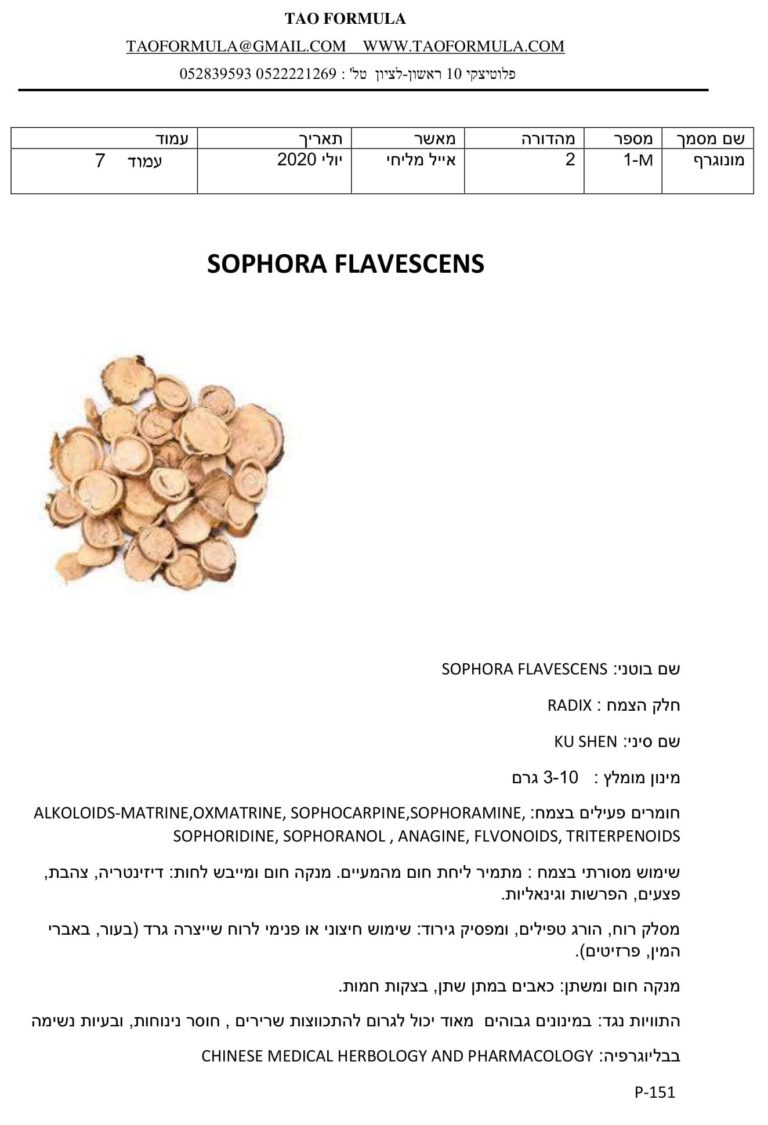 SOPHORA FLAVESCENS 1