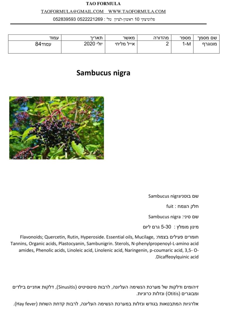 Sambucus nigra 1