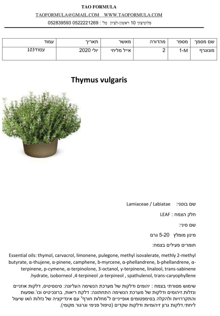 Thymus vulgaris 1